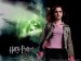 Hermione-Granger-7204511-800-600.jpg